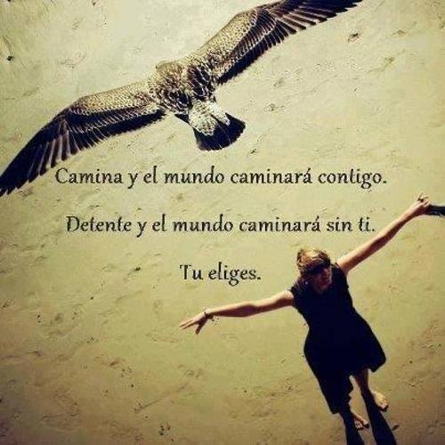 camina y el mundo caminara, detente y el mundo seguirá sin ti...