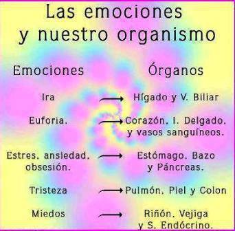 LAS EMOCIONES Y LOS ORGANOS
