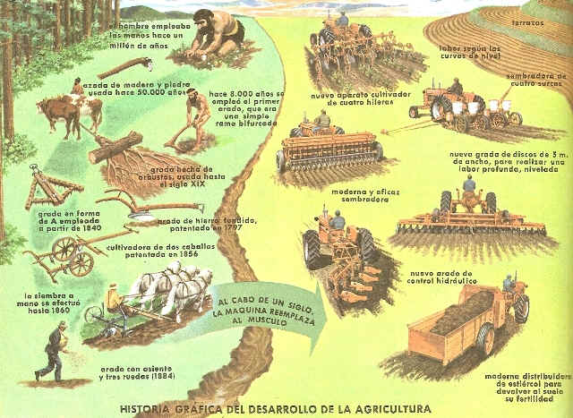 AGRICULTURA- HISTORIA