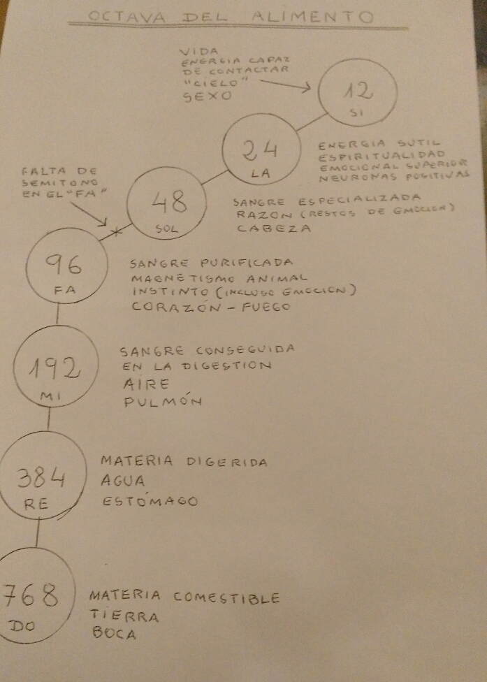 OCTAVA DEL ALIMENTO - VICENTE