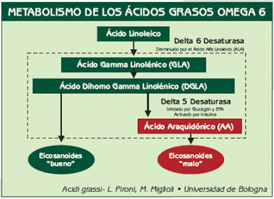 grafica_omega6