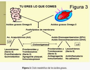 TU ERES LO QUE COMES - OMEGA 3 - 6