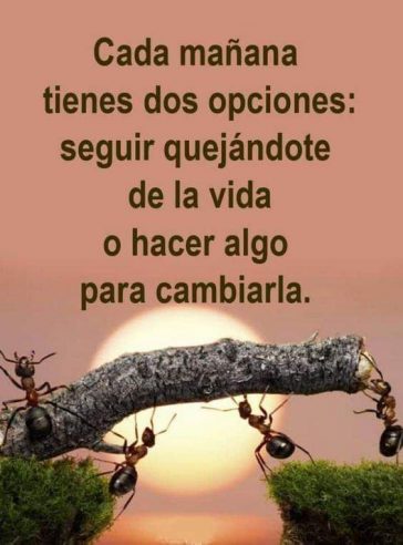 TIENES DOS OPCIONES...