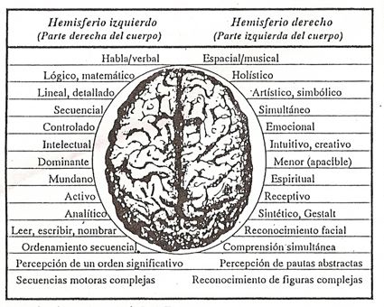 cerebro