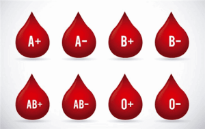 GRUPOS SANGUINEOS
