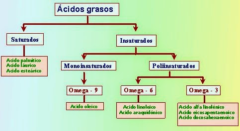 ACIDOS GRASOS - 3-6-9-
