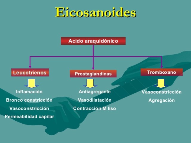biosintesis-de-los-acidos-grasos-