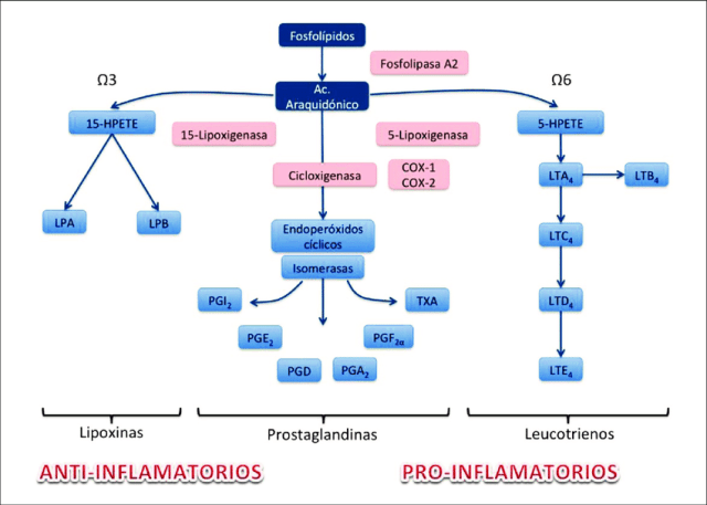 Diferentes-eicosanoides