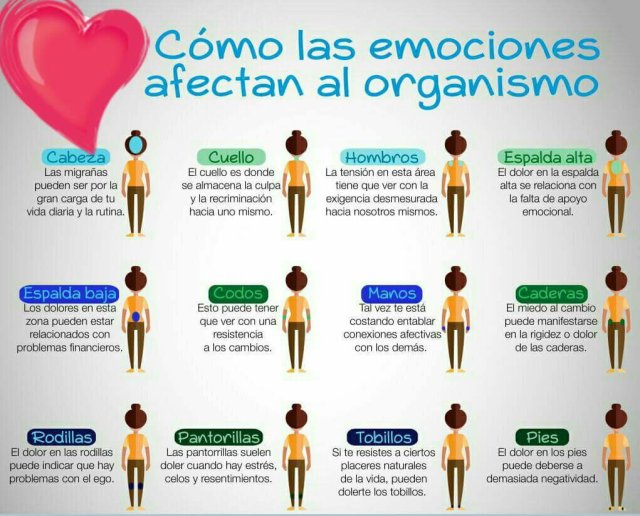 EMOCIONES AFECTAN AL ORGANISMO