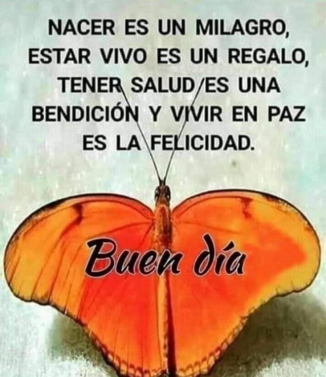 NACER ES UN MILAGRO-2022