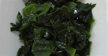 ALGA WAKAME