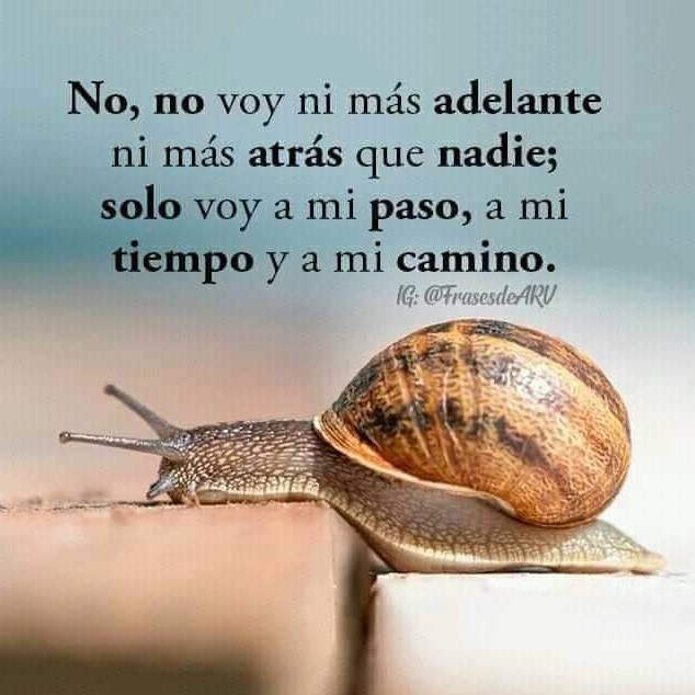 A MI PASO Y A MI CAMINO-2022