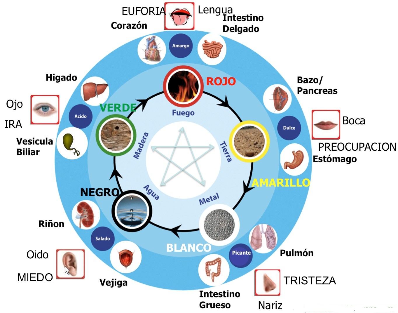 LOS 5 ELEMENTOS-EMOCIONES