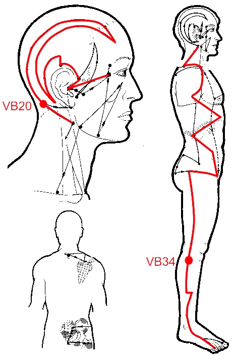 meridiano_vesicula_biliar