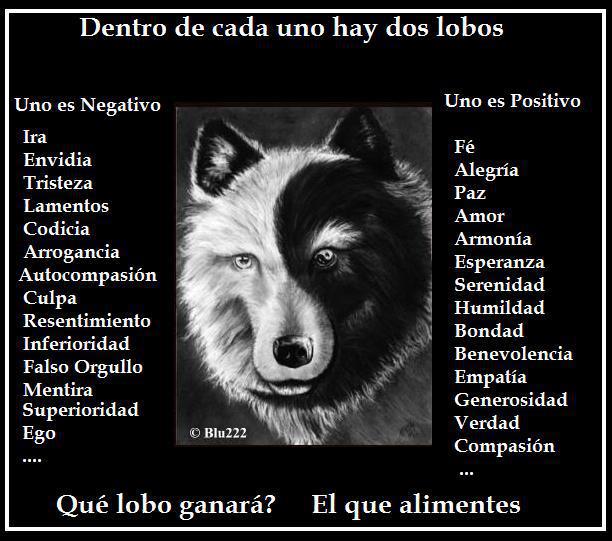 Lobos - 4