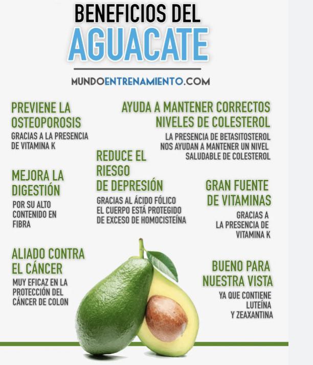 PROPIEDADES DEL AGUACATE