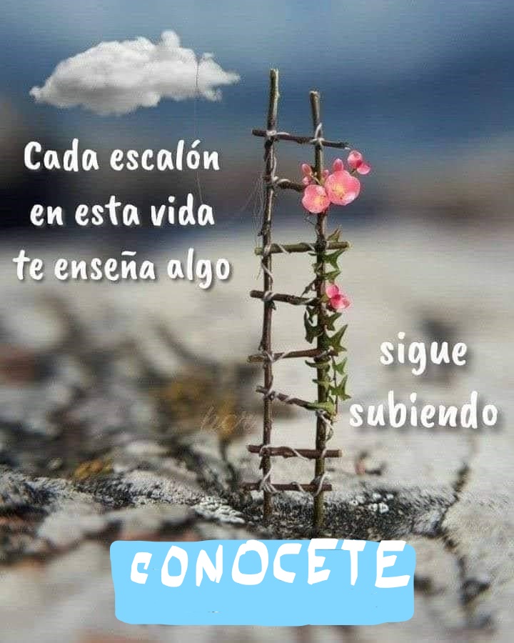 Cada escalon en tu vida te enseña algo